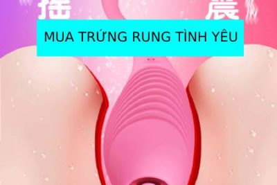 Top 3 Địa Chỉ Mua Trứng Rung Uy Tín Chất Lượng Tốt Nhất