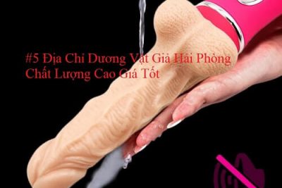 #5 Địa Chỉ Dương Vật Giả Hải Phòng Chất Lượng Cao Giá Tốt