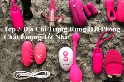 Top 3 Địa Chỉ Trứng Rung Hải Phòng Chất Lượng Tốt Nhất